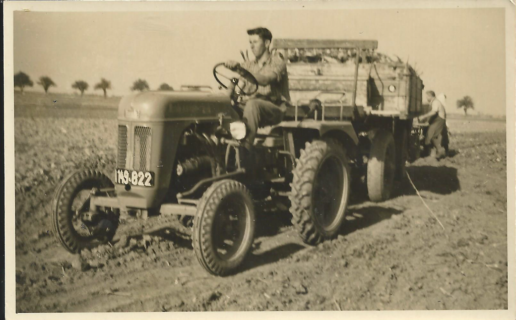 Meine Eltern u. Geschwister bei der Rübenernte 1956